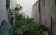 thum-9243553_Z3wmEPSDri_1784018878.jpg