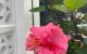 thum-9243789_bL1TEdzwR3_1784259707.jpg