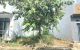 thum-9243813_SdNTAWiZlO_1784273785.jpg