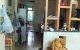 thum-m_0GpUdkTnyL_1784516119.jpeg