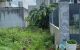 thum-m_gkqC90QRhZ_1784521765.jpg