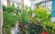 thum-9244068_9PlipOdIKQ_1784595597.jpg