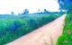 thum-9244117_PnxpY860wU_1784613927.jpg