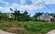 thum-9244125_YxCOWRZDi5_1784618524.jpg