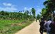 thum-m_p3DGc2rjvH_1784618500.jpg