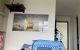 thum-9244173_tFSkRmgYuO_1784681931.jpg