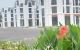 thum-9244260_9sdoMZje7k_1784769575.jpg