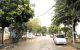 thum-9244278_2zJv6gnQBY_1784777513.jpg