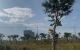 thum-9244339_uDBd5FROr2_1784804083.jpg