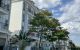 thum-9244533_StVQyfniuc_1784973059.jpg