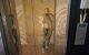 thum-9244588_uoWj41qz52_1785051400.jpeg