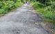 thum-m_3MLhdZiSN7_1785040760.jpeg