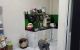 thum-9244794_o1YDaMAgKm_1785219466.JPG