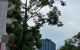 thum-9244832_ep21QgKUC8_1785244053.jpg