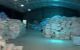 thum-m_zKi41AyRNd_1785210063.jpg
