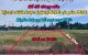 thum-9244877_dVH531u902_1785295981.jpg