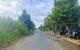 thum-9244882_UPxtBCOe4H_1785296544.jpg