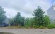 thum-m_nDVgqptvGr_1785296534.jpg