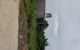 thum-m_4IokxG62pq_1785374878.jpg