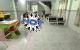 thum-9245142_Zc7BxQ4dFA_1785517967.jpg