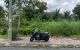 thum-9245196_sbDVvalh9N_1785588644.jpeg