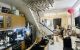 thum-9245301_Ham1oRuped_1785754472.jpg