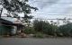 thum-m_6OedMisAop_1785724955.jpg