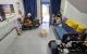thum-9245416_iq1JLR0OkC_1785853527.jpg