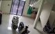 thum-9245579_Hqn0PWcolY_1786013627.jpg