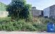 thum-m_bdTgWOuszY_1786072914.jpg