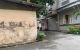 thum-9245736_Fa1fsJo6ly_1786234887.jpg