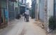 thum-9245841_3qVHx18kQa_1786359934.jpg