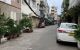 thum-9246020_4QkhoWLfMG_1786524720.jpeg