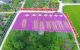 thum-m_Q9qkM4ulgX_1786606853.jpg