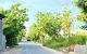 thum-m_e0kqR2Ldpu_1786591102.jpg