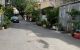 thum-9246237_7QzL93Btyc_1786686286.jpg