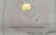 thum-m_UfhwX4V8c7_1786786277.jpg