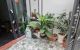 thum-9246601_LWf1NZSTky_1787048489.jpeg