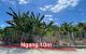 thum-m_z5cjaCDStJ_1787213522.jpg