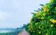thum-m_d5DkHF1Ym0_1787360650.jpg