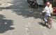 thum-m_hArBHw89qX_1787387186.jpg