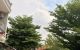 thum-9246961_JFi8mTe7uc_1787539323.jpg