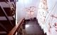 thum-9247178_q2pwbm9AD0_1787756922.jpeg