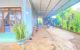 thum-m_s23k8nCxct_1787893888.jpg