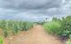 thum-m_SriM5odPR2_1788002677.jpg