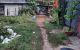 thum-9247410_jedkvCAxGu_1788155224.jpg