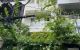 thum-m_BYnWUsvVrt_1788229630.jpg