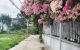 thum-9247539_DmR1pahgxO_1788438286.jpg