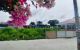 thum-m_QaSWbT8KOM_1788438282.jpg
