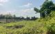 thum-m_uVp5ZO6i8y_1788853056.jpg